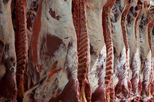 50 طناً من اللحوم الفاسدة كانت في طريقها لموائد سكان دمشق