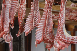 تُباع بالكيلو.. عظام الذبائح «بديل اللحم» في وجبات السوريين