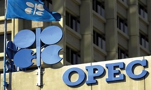انخفاض أسعار النفط يقلق دولاً في أوبك