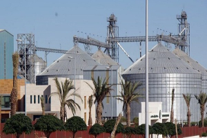 القطاع الصناعي السوري يسجل نمواً ملحوظاً خلال الربع الأول من العام 2025... 345 منشأة صناعية تم ترخيصها