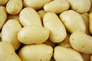 مسؤول يبشّر: سعر البطاطا قد ينخفض في حال تم استيرادها من مصر!