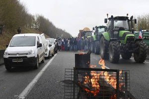 فرنسا.. المزارعون ينظمون وقفات احتجاج في أرجاء البلاد وفي بروكسل احتجاجا على الأجور المتدنية وزيادة تكاليف الإنتاج