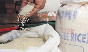 توقعات بانهيار أسعار الأرز المصري خلال أيار القادم ووصول الطن إلى 2000 جنيه