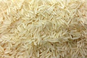 تجار: العراق يطرح مناقصة لشراء 30 ألف طن أرز على الأقل
