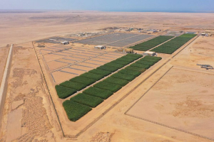 مصر تخصص أراضٍ بالبحر الأحمر لخفض الدين العام وإصدار صكوك سيادية
