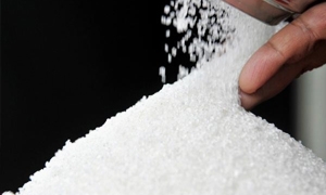 السكر تتعاقد لتوريد 25 ألف طن سكر خامي‏ بالليرة السورية