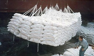 مؤسسة السكر تتعاقد على توريد 1600 طن من الخميرة الجافة..و25ألف طن سكر