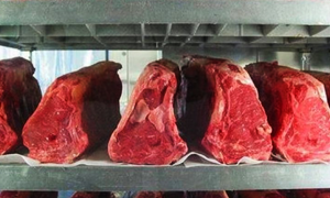 وزارة التجارة تحذر من تزايد عمليات غش اللحوم في الأسواق