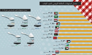 سورية بالمرتبة السابعة في استهلاك الطاقة في المنطقة العربية..والسعودية تتصدر معدل استهلاك السعرات الحرارية