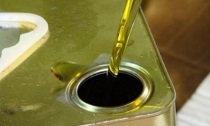 تراجع انتاج الزيتون في اللاذقية إلى 63 ألف طن و3 أسباب رئيسية لارتفاع سعر زيت الزيتون