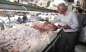 أسباب ارتفاع أسعار الفروج واستقرار اللحوم في دمشق