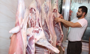 محافظة دمشق تمنح تراخيص لبيع اللحوم في ثلاث مناطق