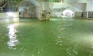 حريدين:عودة مياه نبع الفيجة إلى كافة أحياء دمشق..ومعالجة الاختناقات في الضواحي