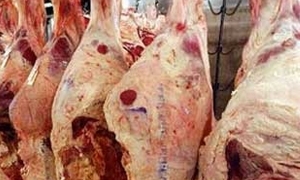 2700 هبرة الخاروف.. اسعار اللحوم الحمراء في دمشق ترتفع للأسبوع الثاني بنسبة 10% والفروج ينخفض مجدداً