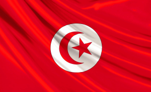 تونس ترغب باستيراد 125 ألف طن من قمح الطحين