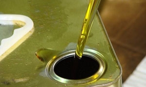 الحكومة توافق على دفع تكاليف معمل زيت الزيتون