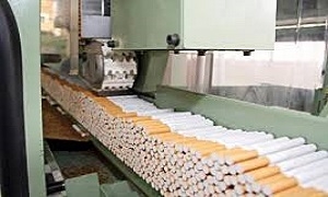 مؤسسة التبغ تبرر تراجع تنفيذ خططها: 42% لكمية الانتاج و89% للمبيعات