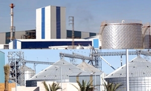 المطالبة بقرض 300 مليون لإكمال مشروع توسع الصناعات المعدنية في اللاذقية