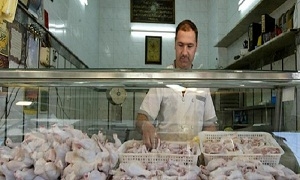 أسعار الفروج والبيض والديك الحبش في أسواق دمشق
