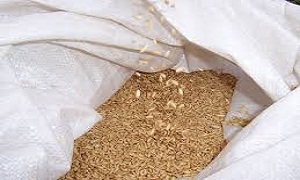 برنامج الأغذية العالمي: 2 مليون طن متر انتاج سورية من القمح