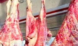 لعدم صلاحيتها للاستهلاك البشري.. إتلاف 225 كغ من اللحوم في الحسكة