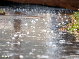 مياه الأمطار تحمل مخاطر عديدة
