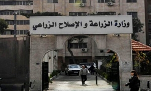 وزارة الزراعة تنقل المعرض الزراعي الدولي سياتكس 2013 إلى قلعة دمشق