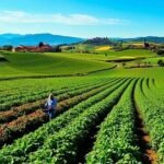 إيطاليا تعلن استعدادها لدعم الزراعة السورية بمعدات وآليات حديثة