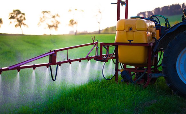 رئيس مجلس إدارة شركة "أنبوبا للصناعات الزراعية": عام 2025 يعادل 7 سنوات من العمل.. والوضوح الاقتصادي هو السر