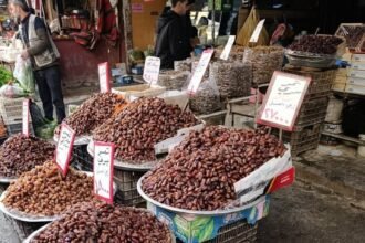 أسعار التمور في سوريا مستويات قياسية قبل رمضان والتمر "المجدول" يرتفع إلى 900 ليرة والإنتاج المحلي يغطي مساحات محدودة