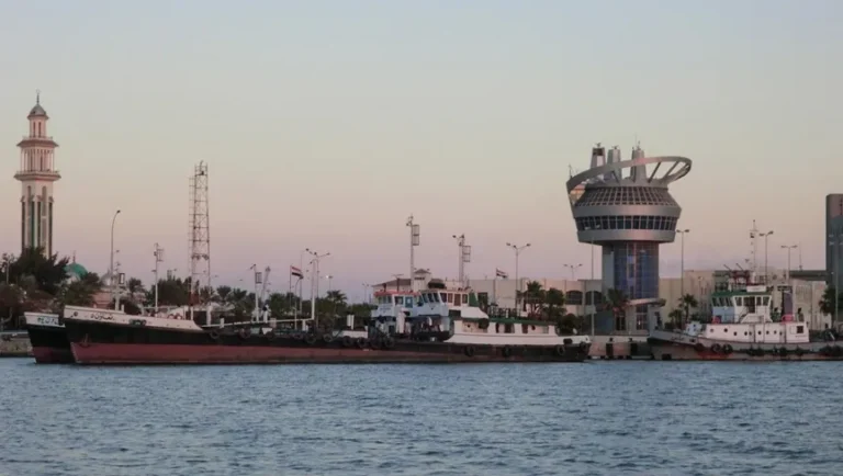 مصر تضخ 8 مليارات جنيه في ميناء دمياط لرفع الطاقة إلى 20 مليون طن سنوياً