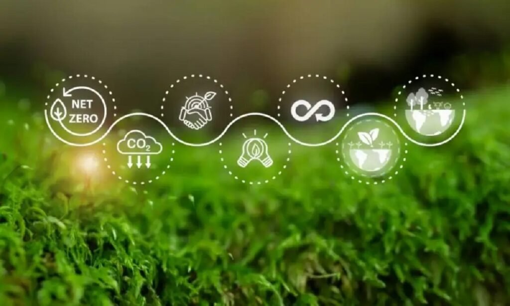 الصين تتصدر التحول العالمي نحو الطاقة المتجددة: من أوروبا إلى الهيمنة العالمية