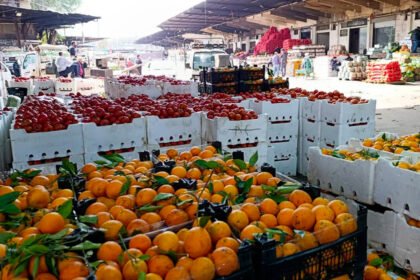 أسعار الخضار في سوق الهال بدمشق