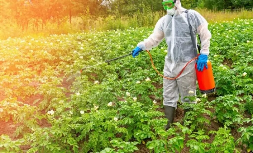 توترات الشرق الأوسط ترفع أسعار الأسمدة عالمياً وتضغط على الزراعة والأمن الغذائي