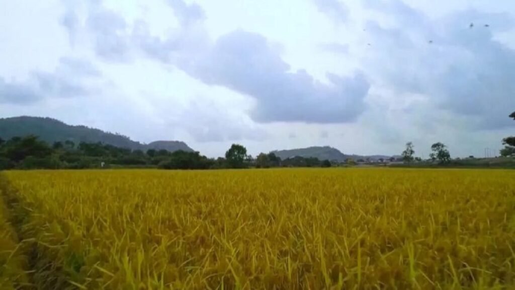 تحذير دولي: حرب الشرق الأوسط تهدد بارتفاع قياسي في أسعار الغذاء وتفاقم الجوع عالمياً