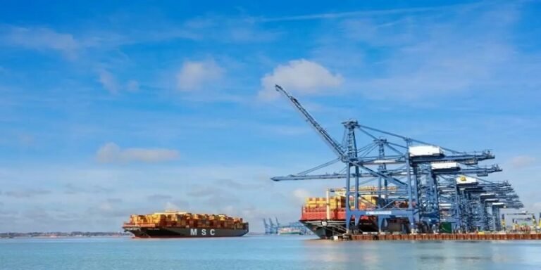 الحاوية التي غيّرت التجارة العالمية.. من 10 أيام في موانئ لندن إلى أزمة ازدحام تهدد سلاسل الإمداد