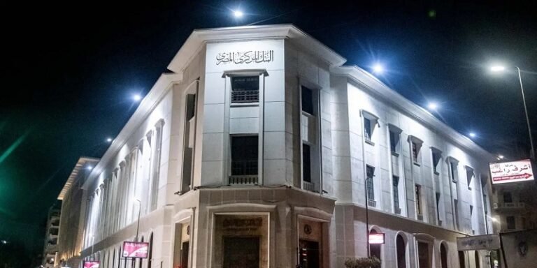 الشمول المالي في مصر يسجل 79%.. 56.4 مليون مواطن يمتلكون حسابات نشطة