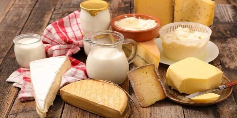 بعد إغلاق محال سورية في مصر.. السوريات يحوّلن مطابخهن إلى مشاريع لإنتاج الأجبان والمجمّدات