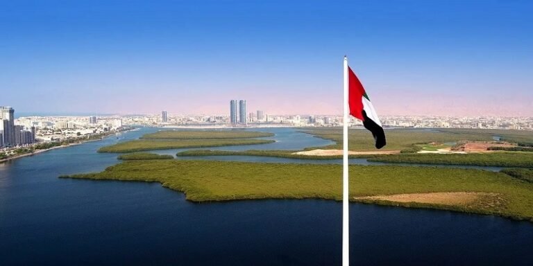 نمو القطاع الخاص غير النفطي في الإمارات يتسارع لأعلى مستوى منذ نهاية 2024