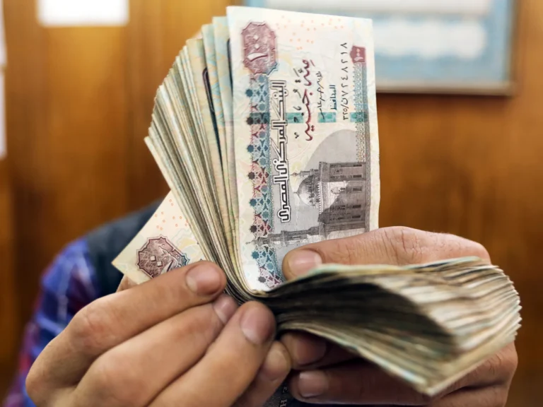 صعود الدولار في مصر يضغط على الأسعار مع تجاوزه 52 جنيهاً